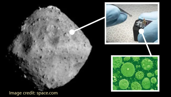 Earth bacteria ‘rapidly colonized’ a sample from Japan’s precious asteroid Ryugu